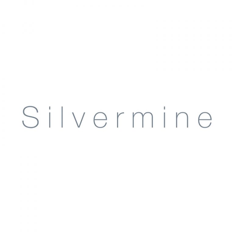 silvermine arts link